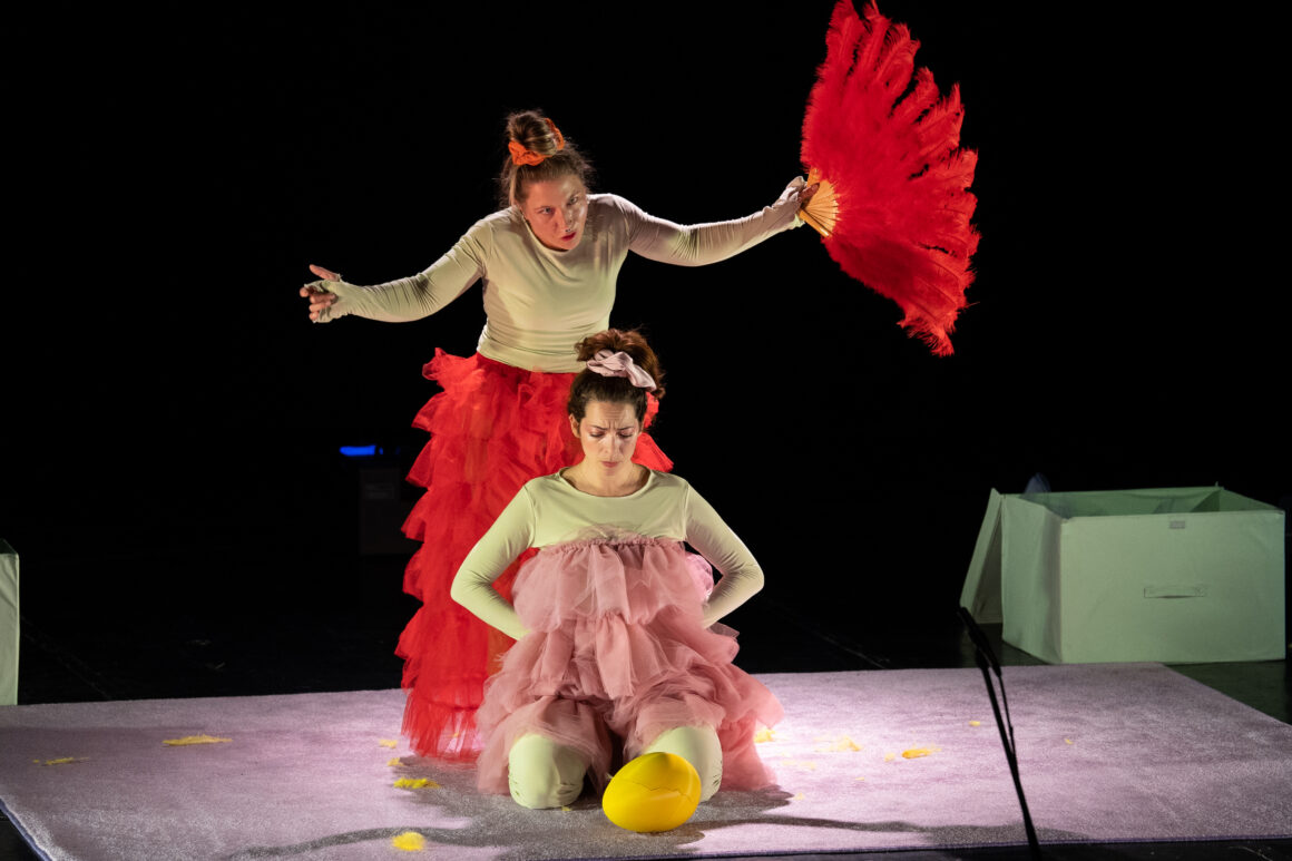 “Το Ασχημόπαπο”