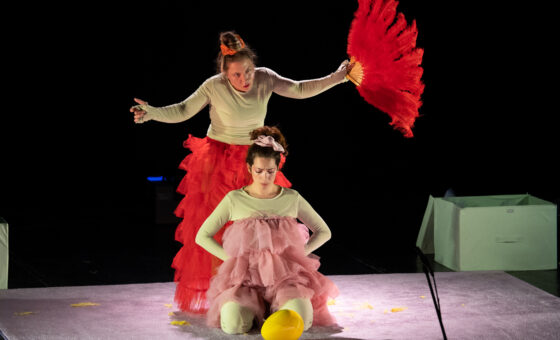 “Το Ασχημόπαπο”